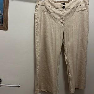 Women’s pant size 16P,